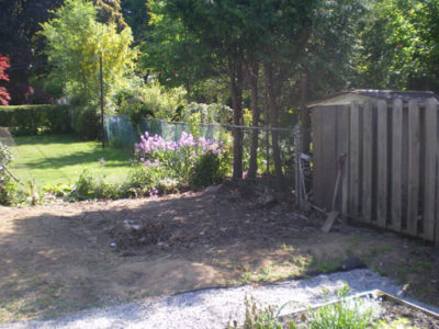 Backyard After Junk Removal