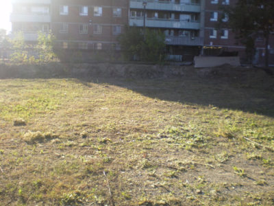Grass Field After Junk Removal