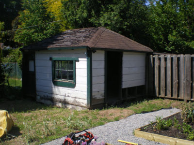 Backyard Shed Before Junk Removal